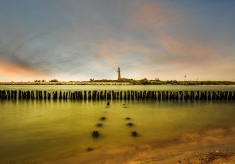 Itinerari in bici sul delta del Po dove vedere gli animali