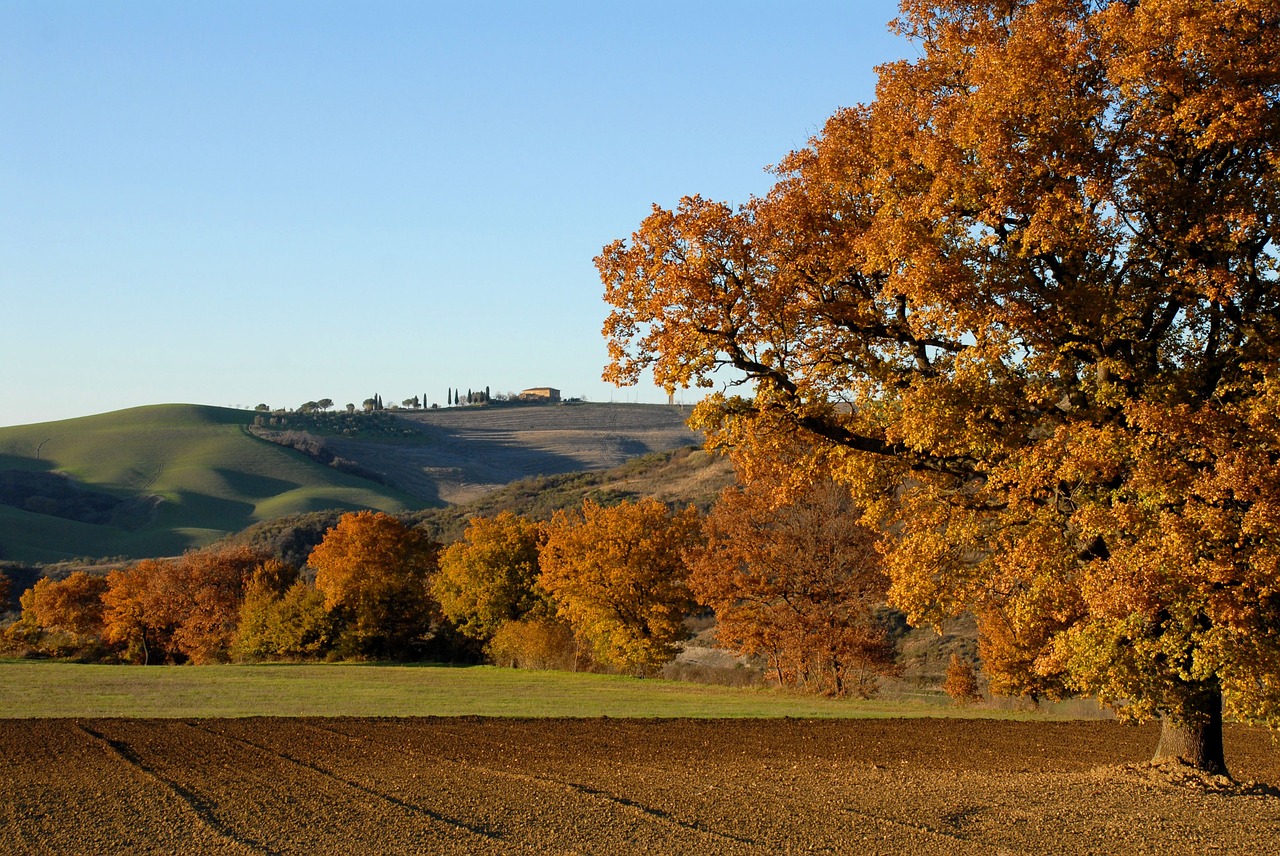 Il Cammino di Sant'Antonio