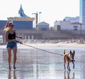 Col cane al mare
