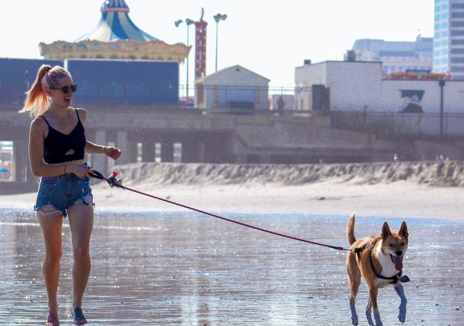 Col cane al mare