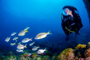 Chinijo, il paradiso dello snorkeling alle Canarie