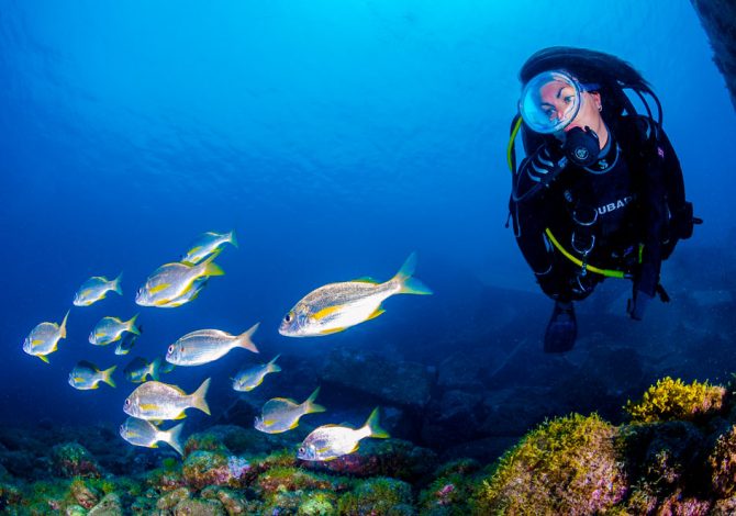 Chinijo, il paradiso dello snorkeling alle Canarie