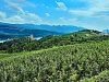 lago-di-santa-giustina-val-di-non-paesaggio-meleti-castel-cles