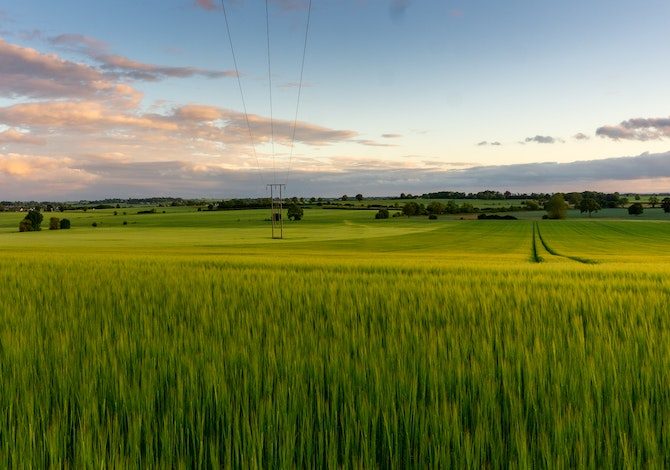 lombardia-in-bici-la-strada-del-vino-san-colombano-e-dei-sapori-lodigiani