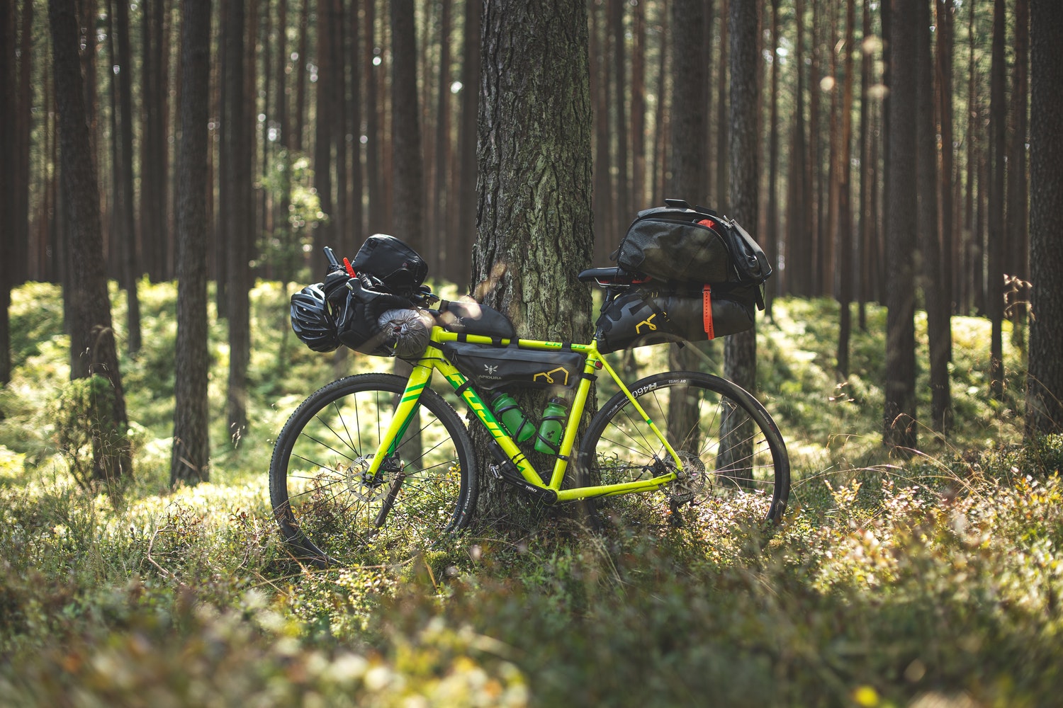 Vacanza in bici