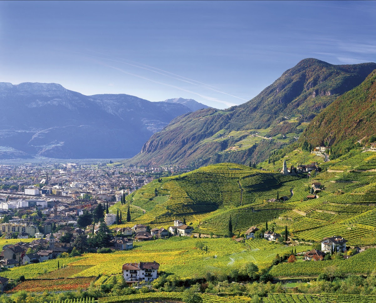 Sentiero del Vino di Bolzano