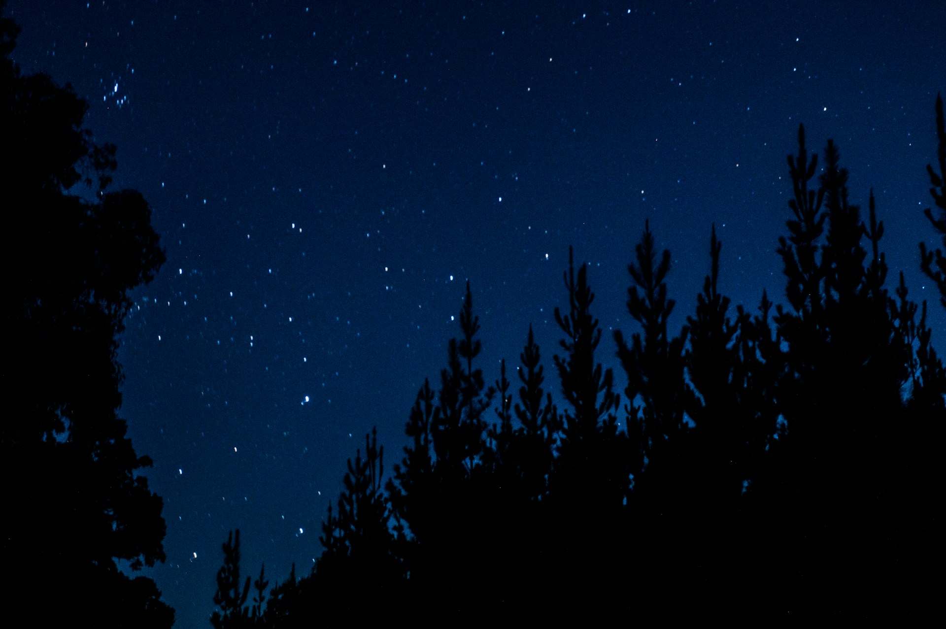 I sette migliori posti d'Italia dove vedere le stelle a San Lorenzo