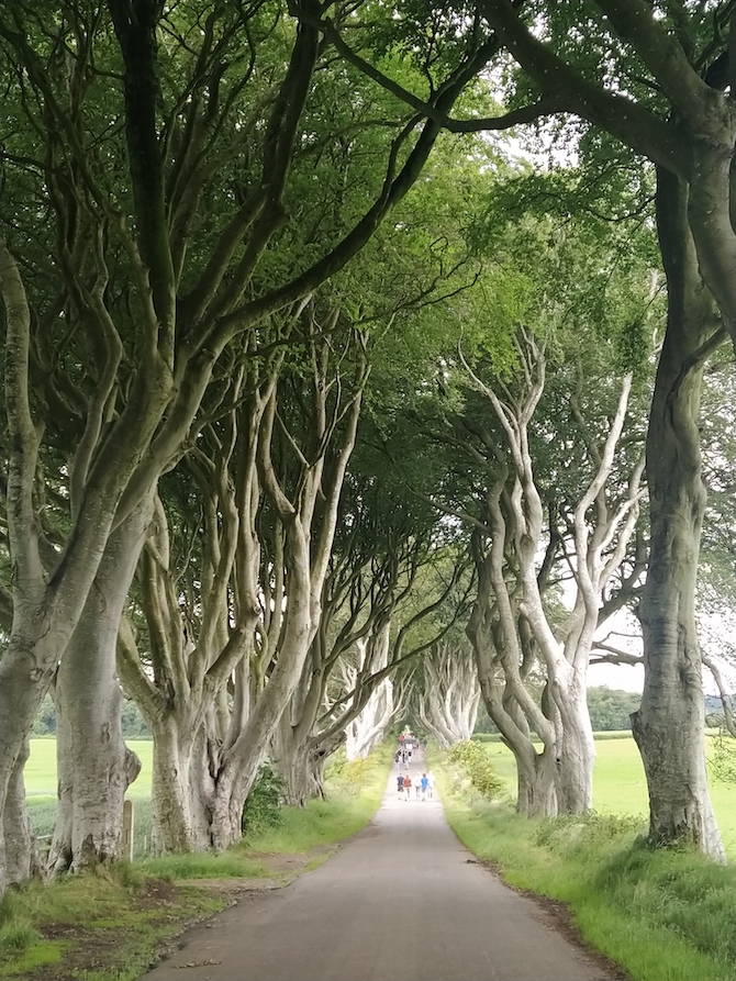 costa-irlanda-nord-dark-hedges-foto-martino-de-mori