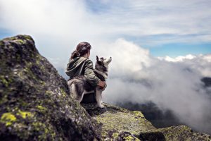 migliori razze di cane per andare in montagna