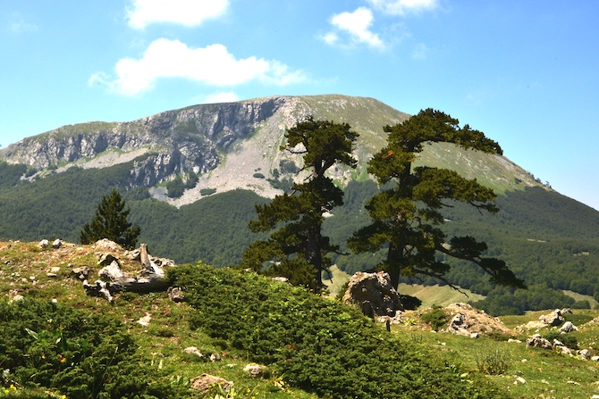 sentiero-calabria-pollino