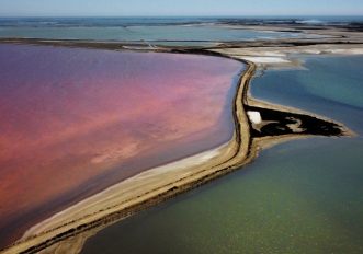 via-rhona-camargue-in-bici-22