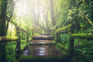 Viaggiare sostenibile (anche spendendo di più): ecco quanti sono disposti a farlo