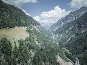 Questo sentiero ti porterà alla scoperta delle vere erbe alpine di montagna