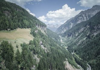 Questo sentiero ti porterà alla scoperta delle vere erbe alpine di montagna