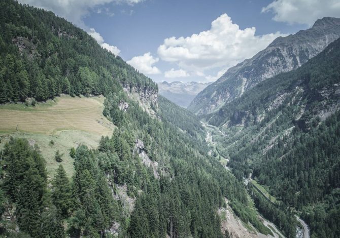 Questo sentiero ti porterà alla scoperta delle vere erbe alpine di montagna