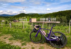 4-itinerari-bici-friuli-Colli-orientali