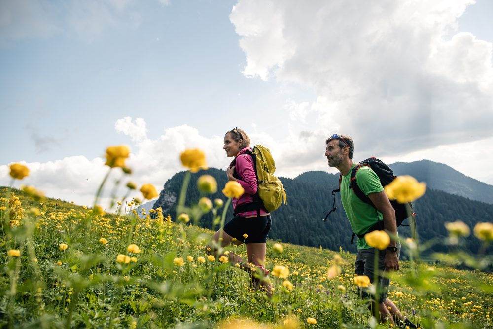 passeggiate-ginocchia