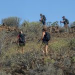 Camino de Santiago, Gran Canaria