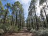 cammino-di-santiago-gran-canaria