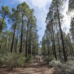 Cammino di Santiago, Gran Canaria