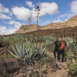 Cammino di Santiago, Gran Canaria