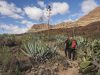 camino-de-santiago-gran-canaria