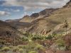 cammino-di-santiago-gran-canaria