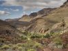 camino-de-santiago-gran-canaria