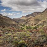 Cammino di Santiago, Gran Canaria