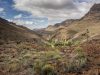 camino-de-santiago-gran-canaria