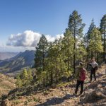 Cammino di Santiago, Gran Canaria