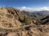 camino-de-santiago-gran-canaria