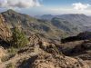 cammino-di-santiago-gran-canaria