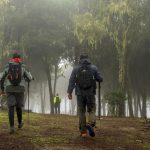 Camino de Santiago, Gran Canaria