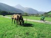 un-tratto-della-ciclabule-della-val-pusteria-