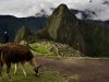 machu-picchu-il-picco