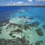 Stingray-City-Antigua