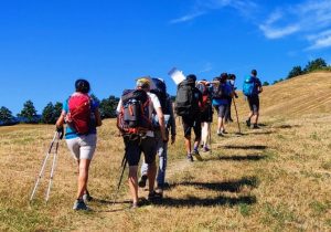 via-francigena-tappe