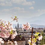 Fioriture di primavera in montagna