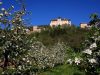 castel-thun-domina-i-meleti-in-fiore-della-val-di-non-creditspiogeminiani