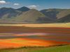 castelluccio-di-norcia-umbria-la-distesa-policroma-dellaltopiano-umbro-nel-parco-dei-monti-sibillini