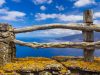 escursioni-a-piedi-a-el-hierro-fino-al-belvedere-del-bascos