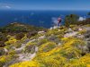 isola-delba-toscana-la-via-dellessenza-paradiso-fiorito-da-fare-anche-in-bici-allisola-delba