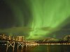 northern-lights-over-the-bridge-sortland-vesteralen-tours