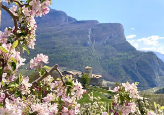La fioritura in Val di Non in 10 immagini: milioni di fiori di melo e di montagna