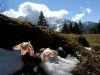 kufsteinerland-relax-nelle-valli-fiorite