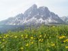 lo-spettacolo-della-primavera-a-san-vigilio-di-marebbe-in-val-badia