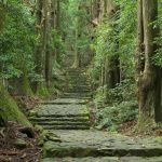 Forest bathing a Kumano Kodo