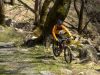 mountain-bike-su-mt-dirfis-a-eubea