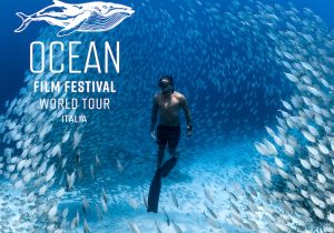 ocean-film-festival-date